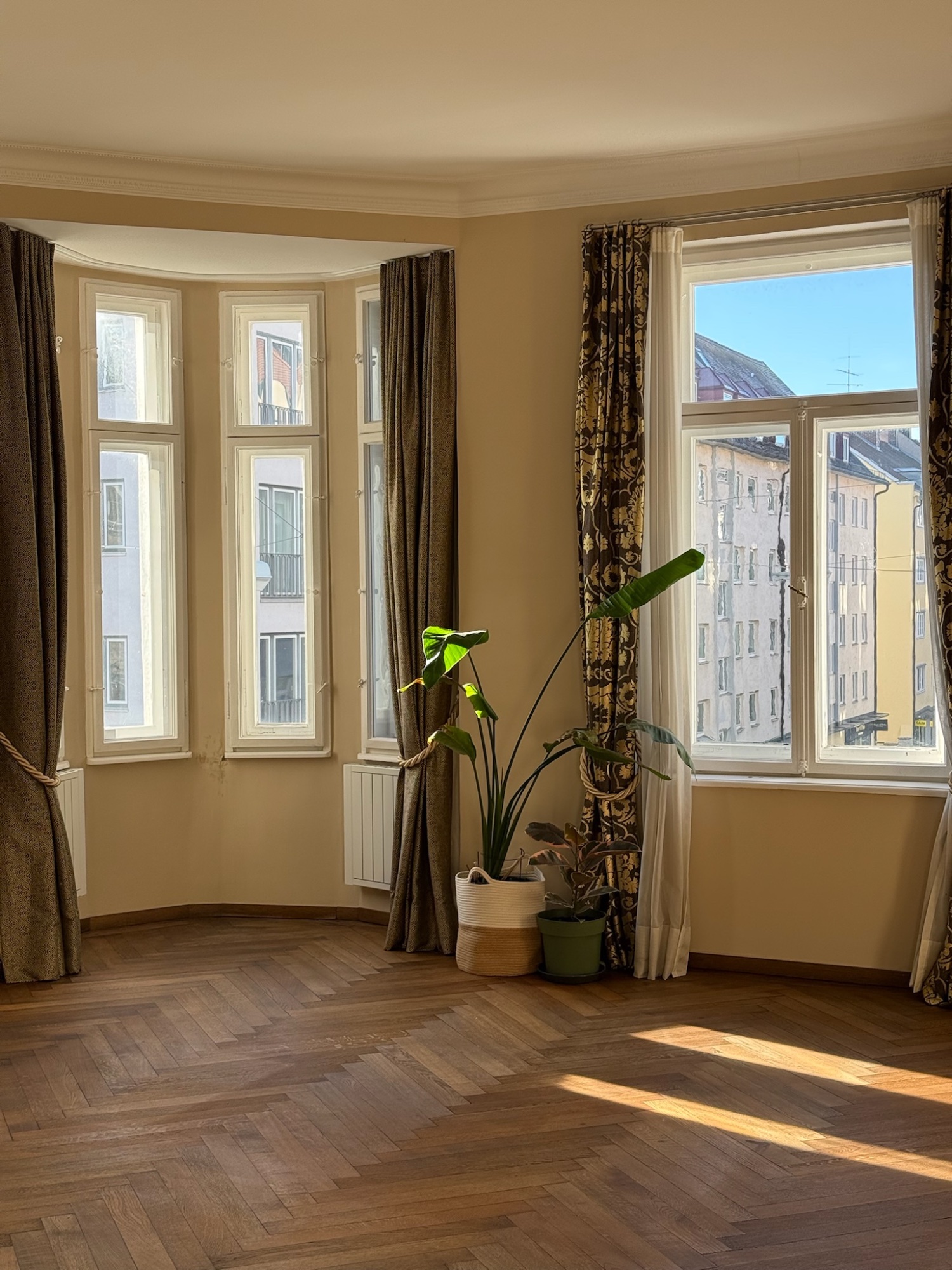 Willie Studio — Erker mit Tageslicht und Pflanzen